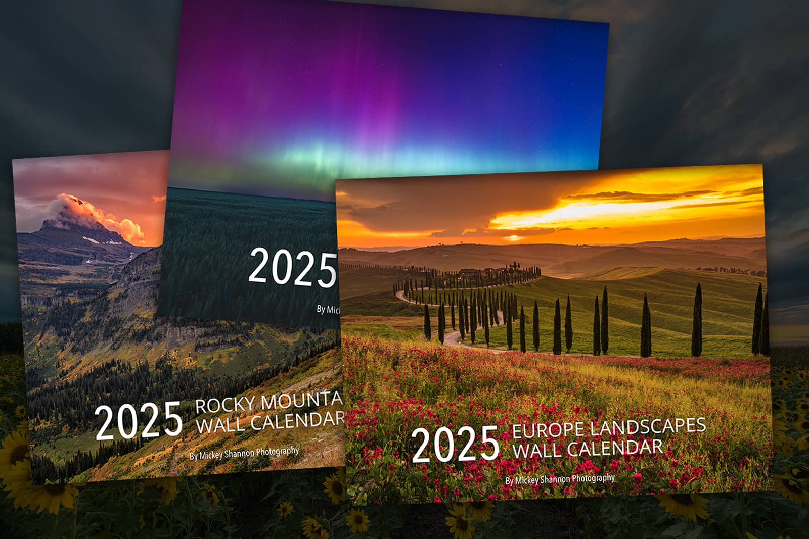 2025 3-Pack Combo Wall Calendar