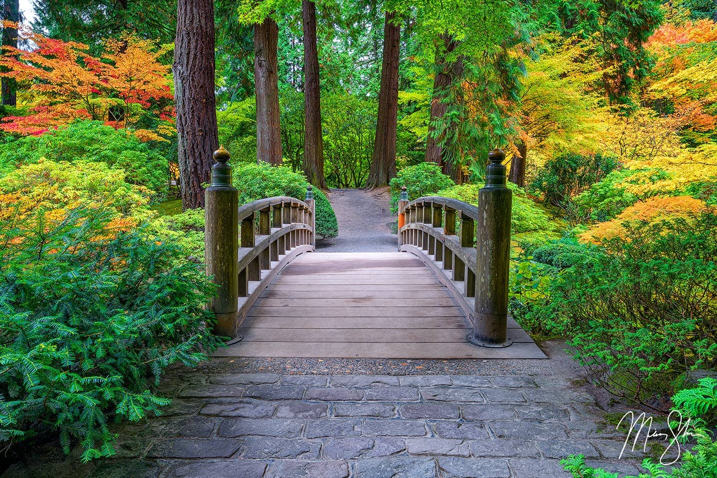  Japanese Bridge Garden Nature Landscape Picture Print