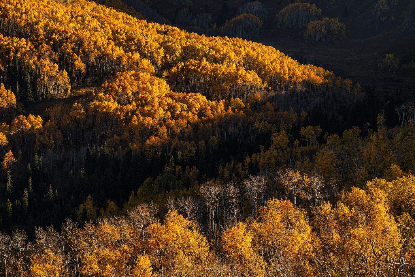 Final Light of Autumn - Capitol Peak, Snowmass, Colorado