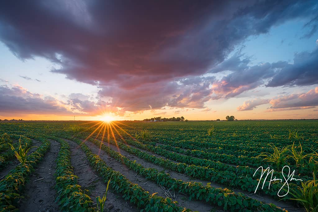 Sunset over the American Heartland  Wichita, Kansas  Mickey Shannon Photography