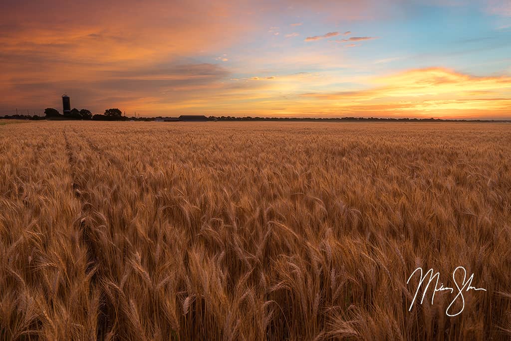 Kansas Is Beautiful | Mickey Shannon Photography