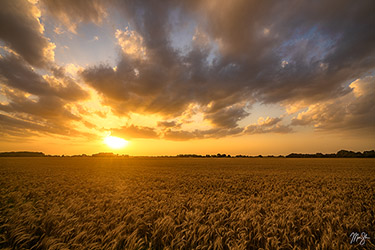 Golden Skies | South Central Kansas | Mickey Shannon Photography