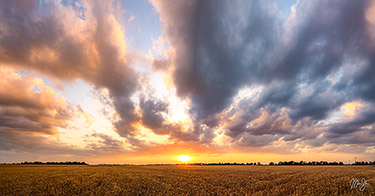 Harvest Sunset | South Central Kansas | Mickey Shannon Photography