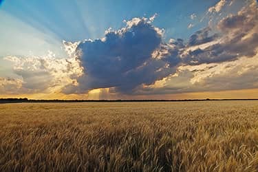 The Heartland of America | Near Wichita, Kansas | Mickey Shannon ...