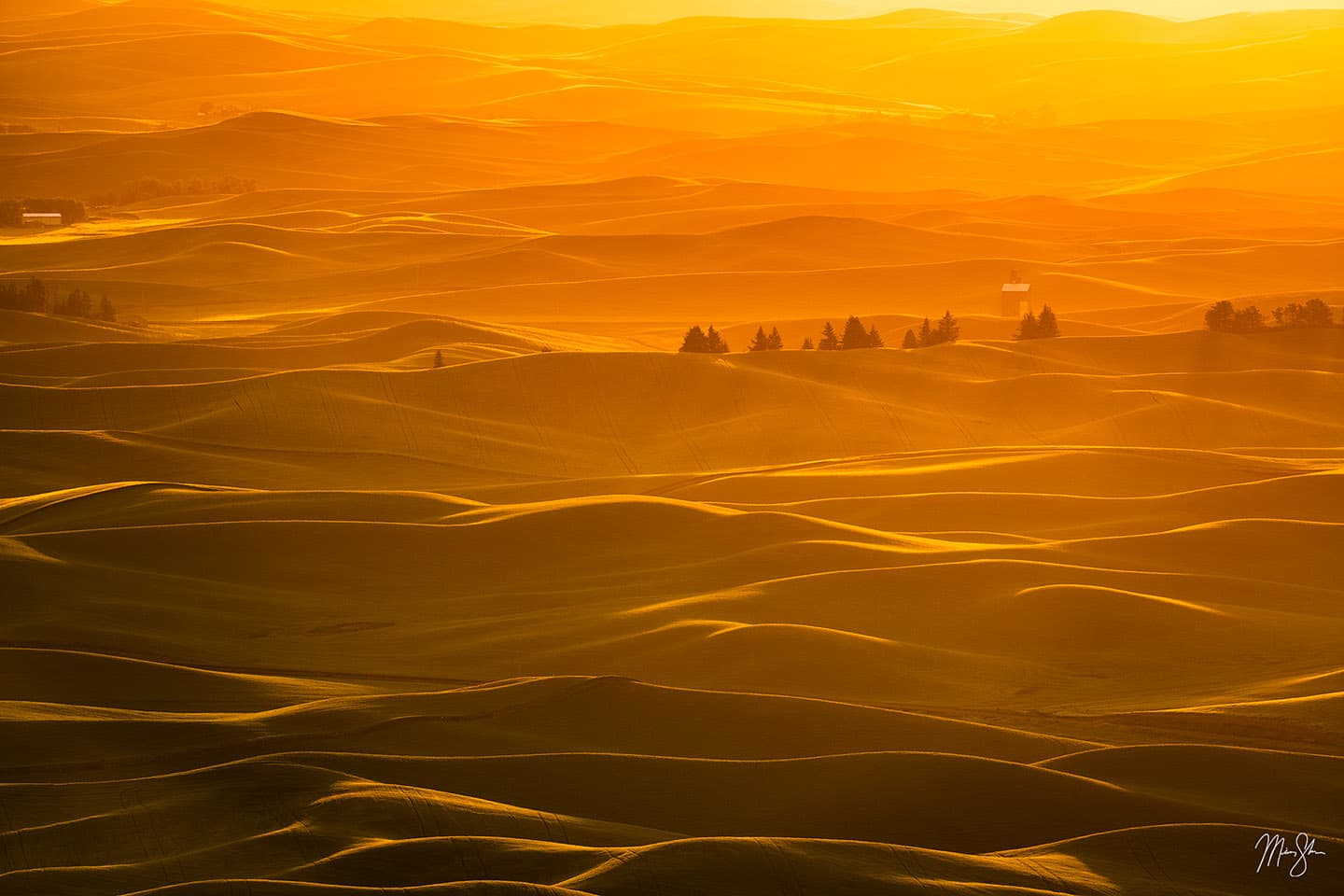 Ribbons of Palouse - Steptoe Butte, Palouse Country, Washington