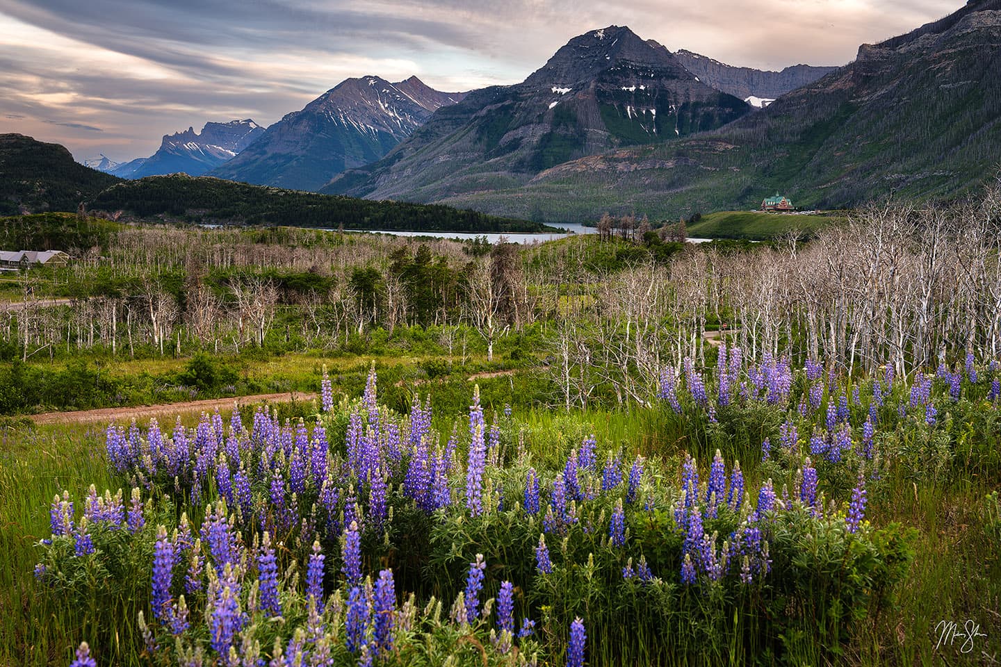 Spring at Waterton Lakes - Waterton Lakes National Park, Alberta, Canada