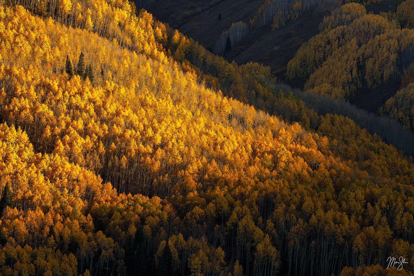 Kiss of Autumn Light - Snowmass Wilderness, Colorado