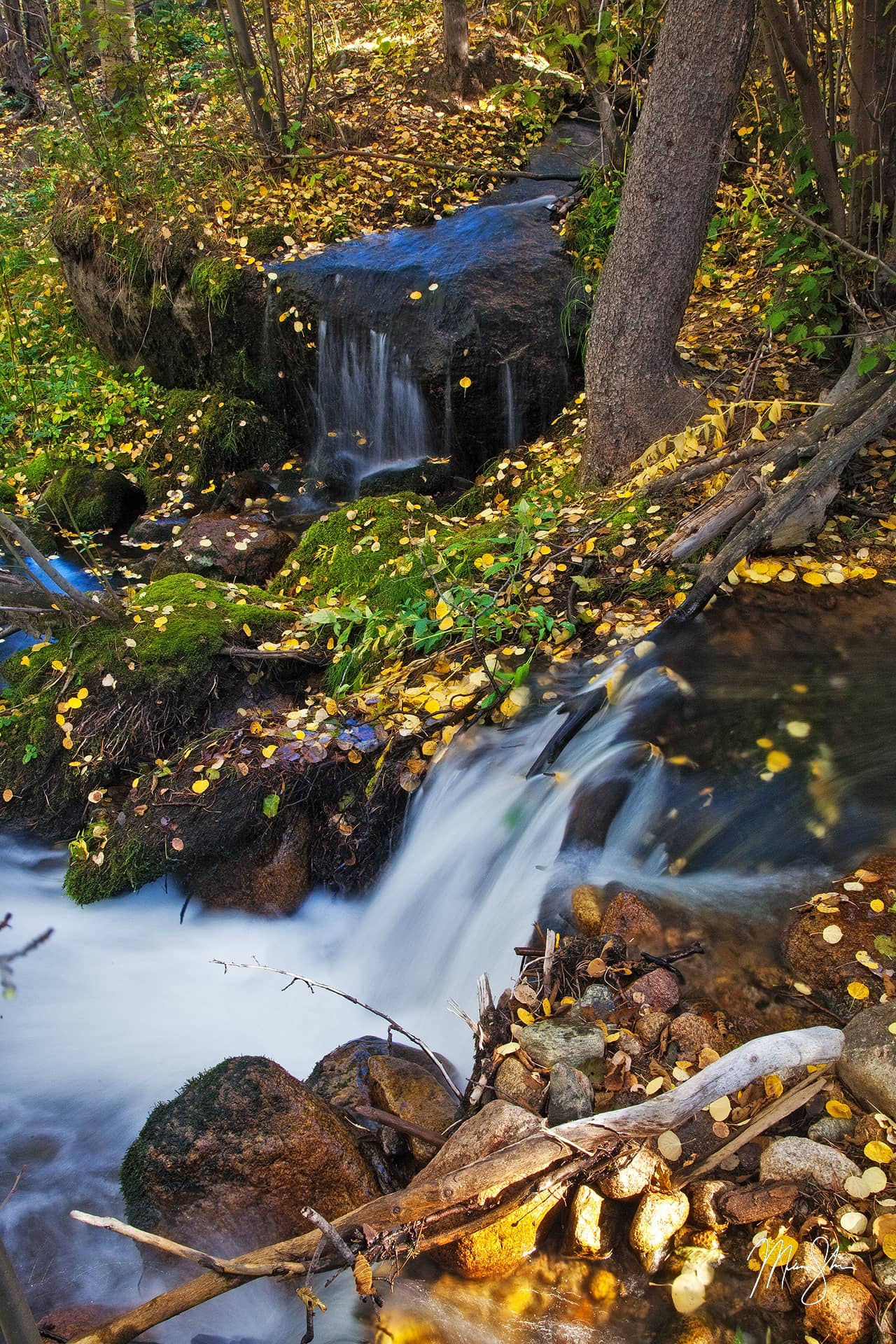 Autumn at Boulder Brook | Boulder Brook, Rocky Mountain National Park ...