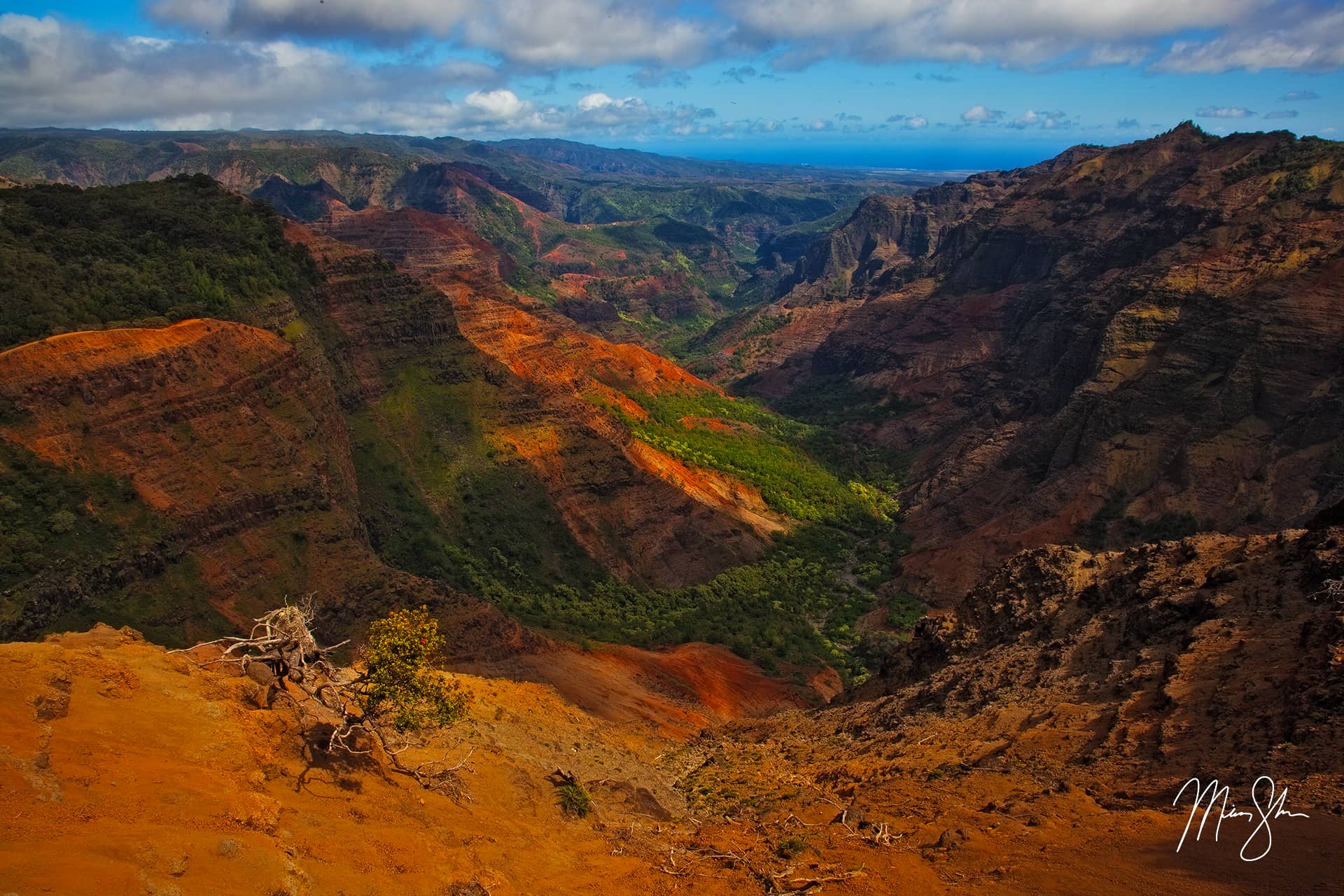 Beautiful Waimea Canyon  Waimea Canyon, Kauai, Hawaii  Mickey Shannon Photography