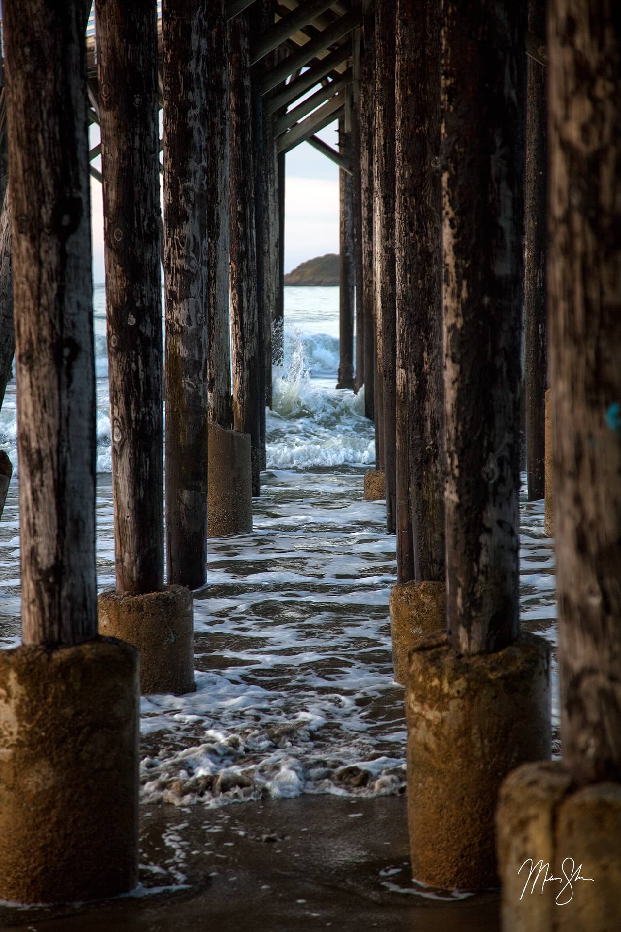 between-the-sticks-san-simeon-california-mickey-shannon-photography