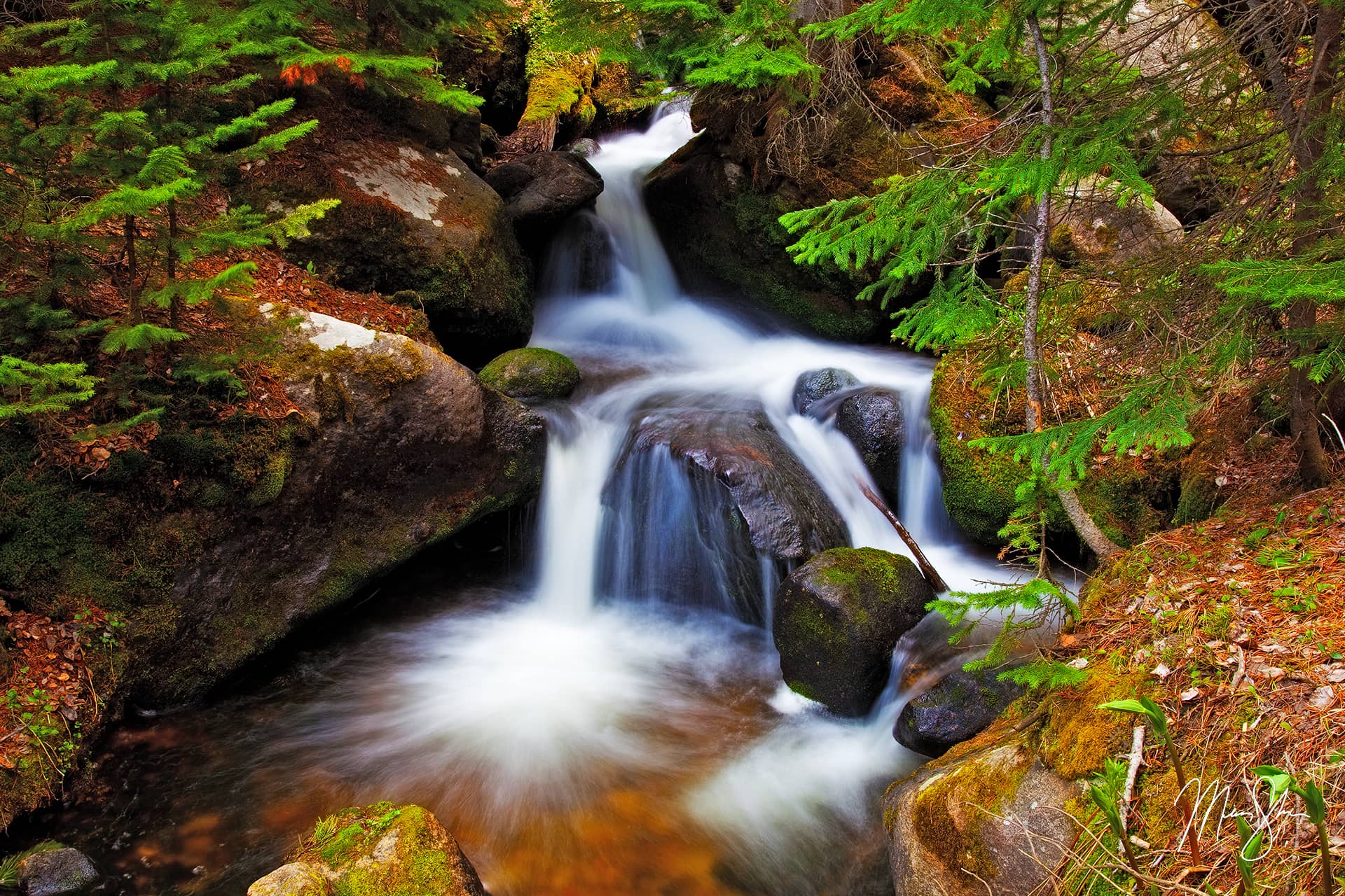 Boulder Brook Spring Boulder Brook Estes Park Rocky Mountain   Boulder Brook Spring 