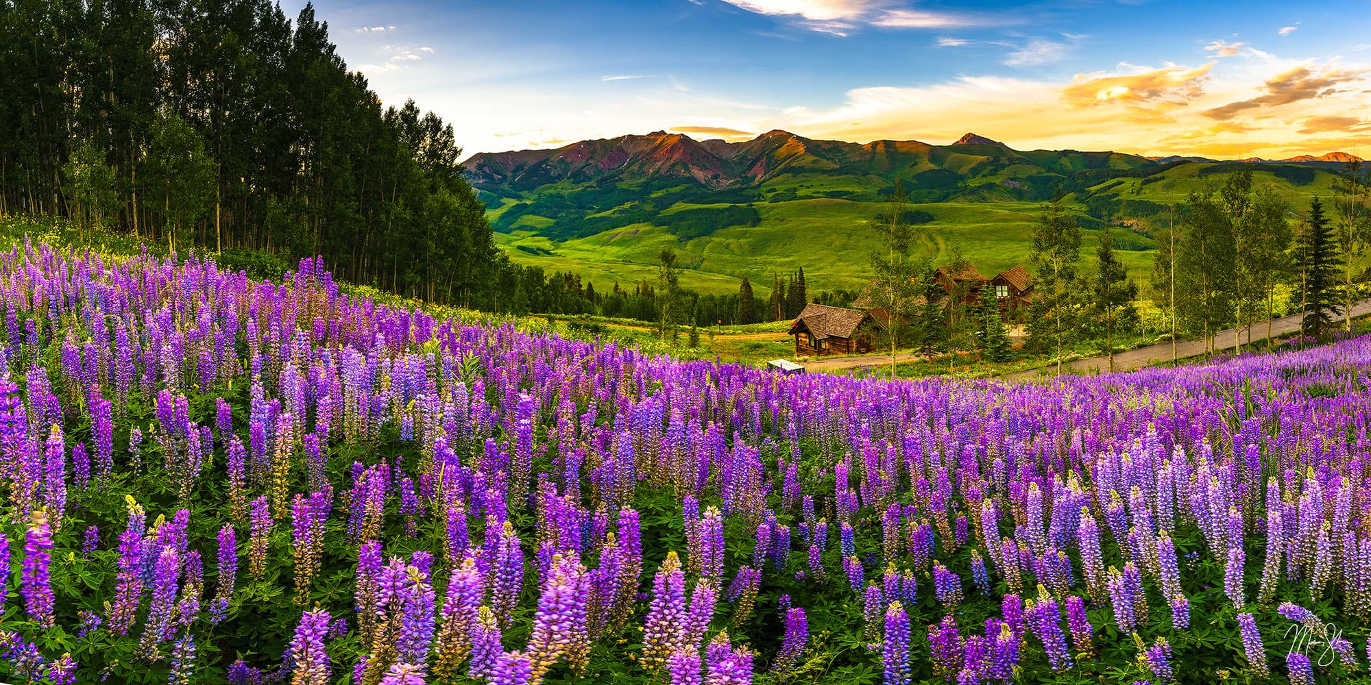 Crested Butte Wildflower Sunset | Crested Butte, Colorado | Mickey ...