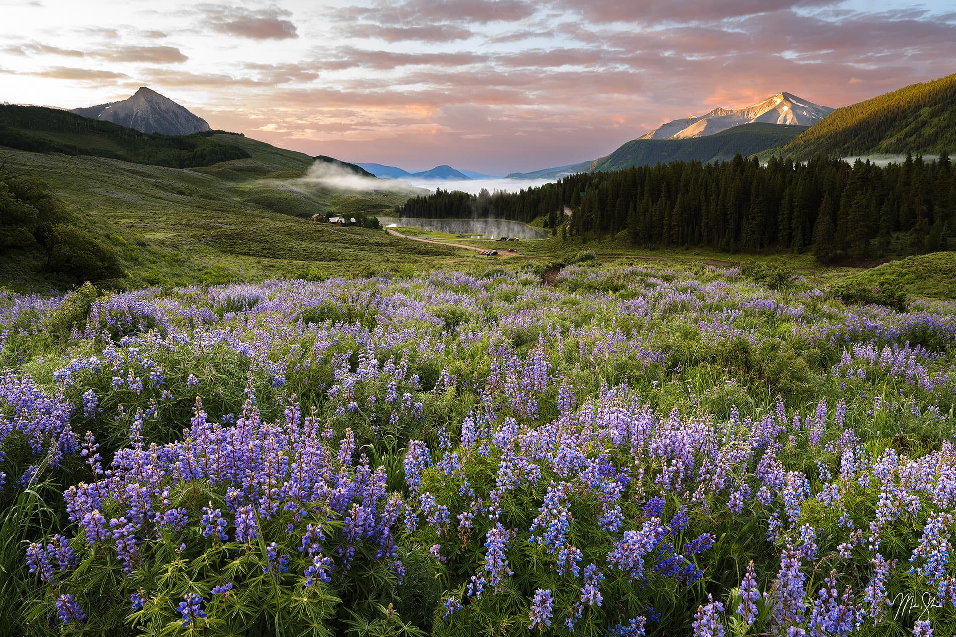 Crested Butte Wildflowers, Mountains and Fall Colors Mickey Shannon