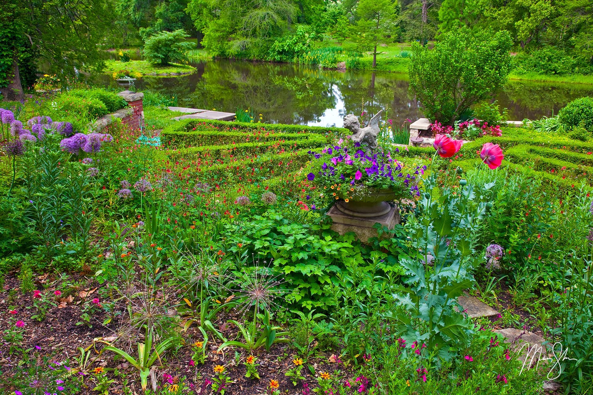 Spring at the Gardens of Bartlett Arboretum – Mickey Shannon Photography