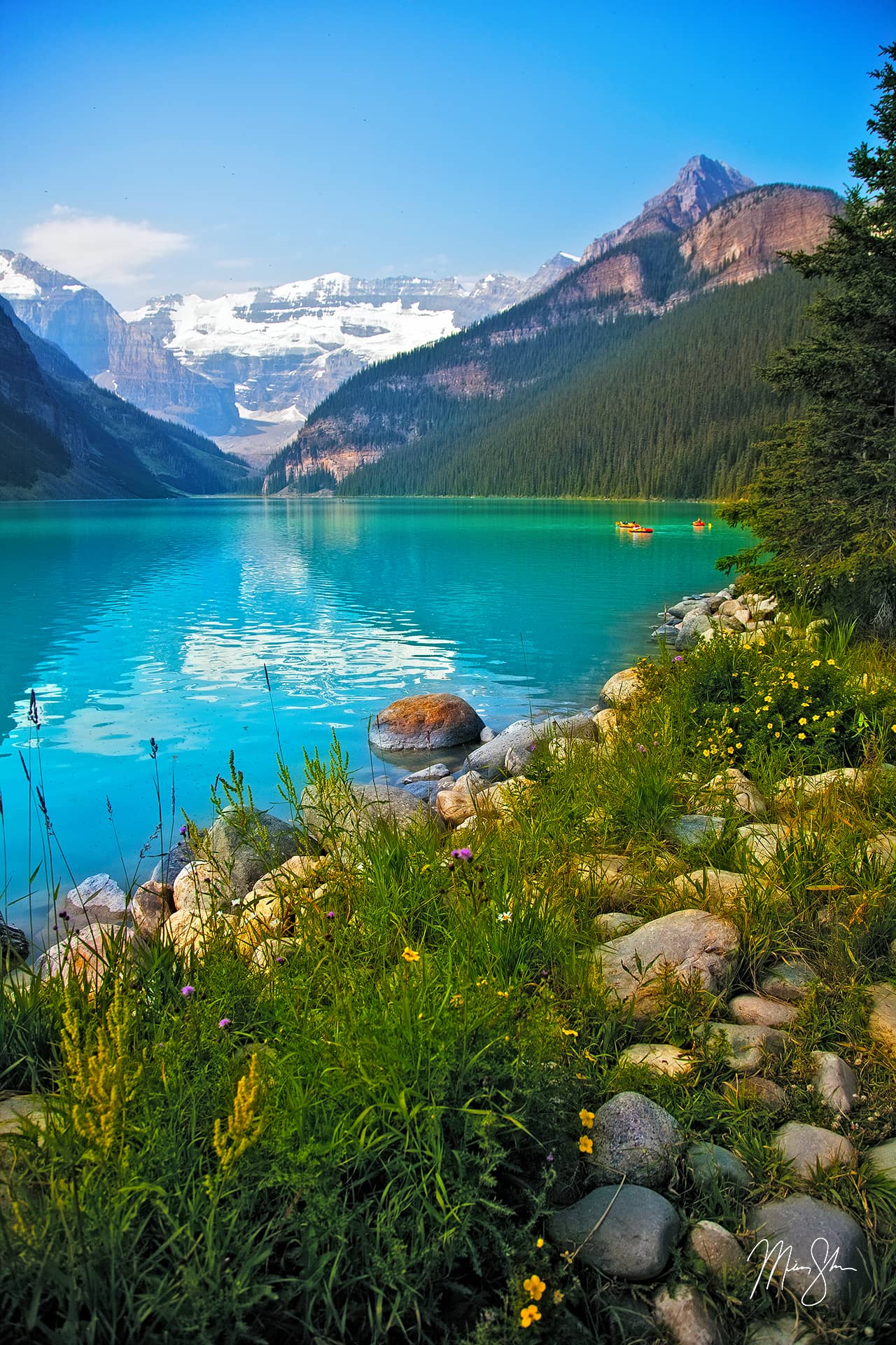 Lake Louise Flowers | Lake Louise, Banff National Park, Alberta, Canada ...