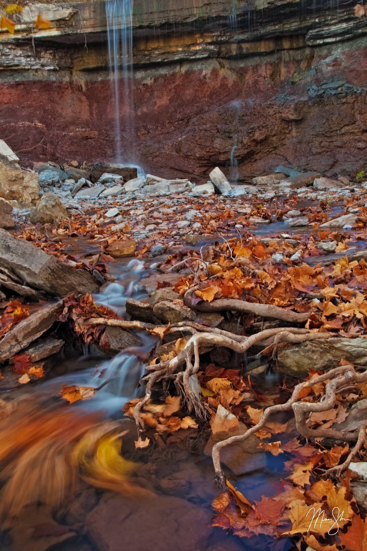 fallen leaf waterfall